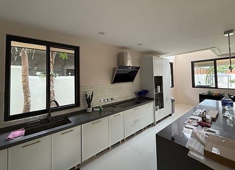 The kitchen window